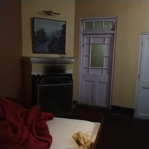 Hotel Pineridge - Traveller Photo