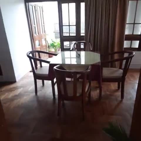 Shangri-la Regency - Traveller Photo
