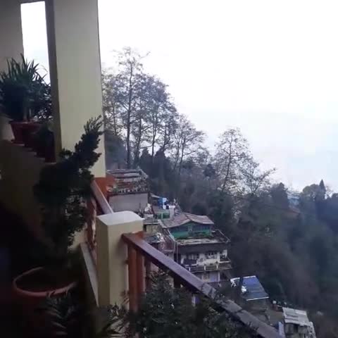 JASWIN SHANTI PRIYA, - Traveller Photo
