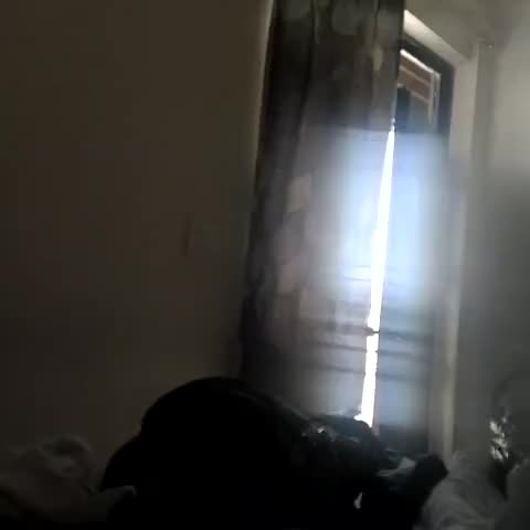 Super Hotel O Shimla Bypass Road ISBT Dehradun Formerly Benison Guest House - Traveller Photo