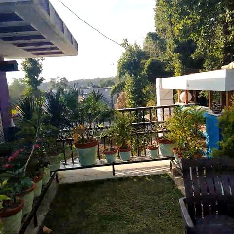 Forest Inn Homestay| Rooms & Caretaker - Traveller Photo