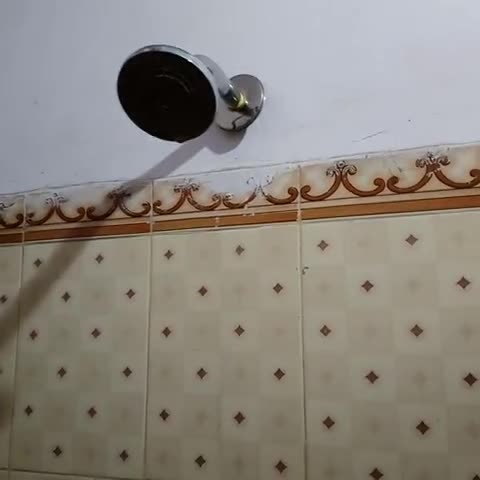 Simran Guest House - Traveller Photo