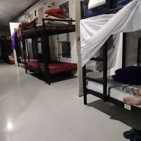CITY BACKPACKERS HOSTEL - Traveller Photo
