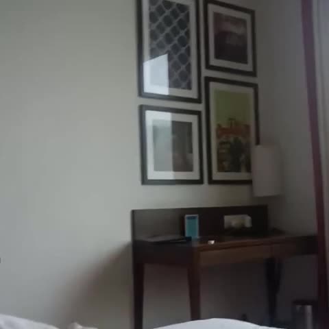 Four Points by Sheraton New Delhi Airport - Traveller Photo