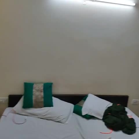 Hotel Asian Blue Delhi - Traveller Photo