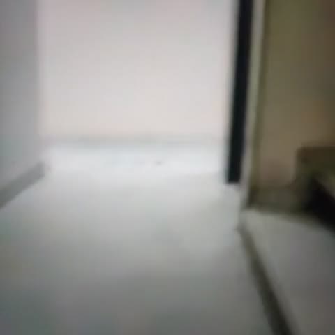 Hotel C Park - Karol Bagh - Traveller Photo