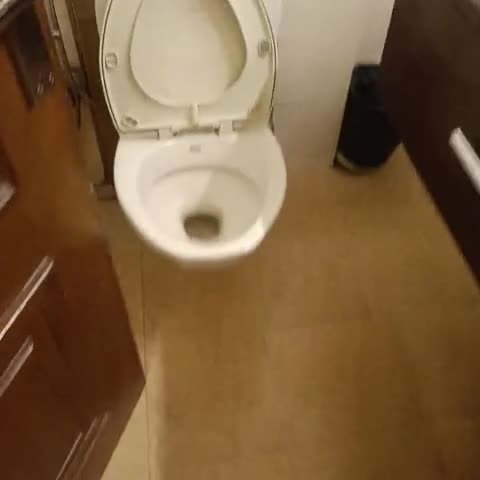 Hotel Goodwill - Traveller Photo