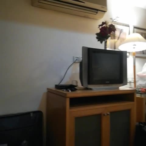 Hotel Jewel Palace - Traveller Photo