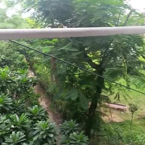 Hotel New Rajdhani Inn - Traveller Photo