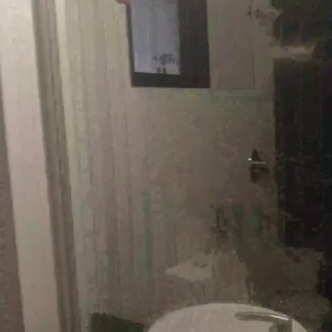 Hotel Saar Inn - Traveller Photo