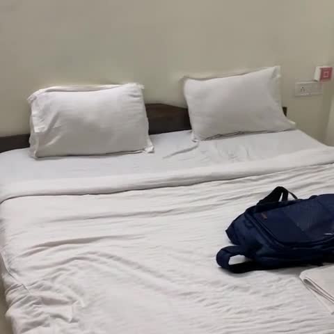 Hotel Silver Tree - Traveller Photo