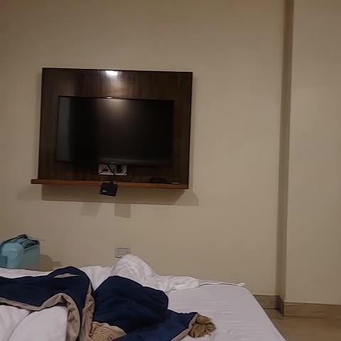 Hotel Viva Palace By OPO - Traveller Photo