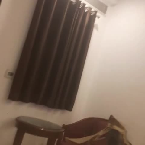 Hotel Yuvraj Deluxe - Traveller Photo