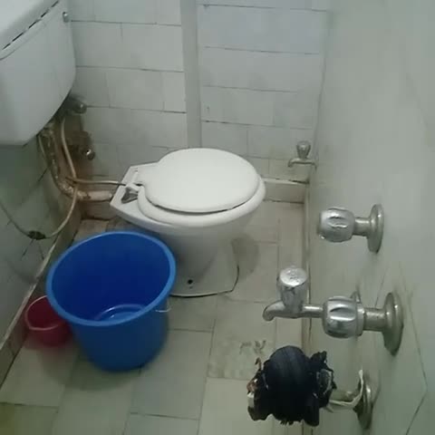 Mahesh guest house - Traveller Photo