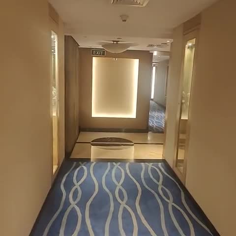 Radisson Blu Plaza Delhi Airport - Traveller Photo
