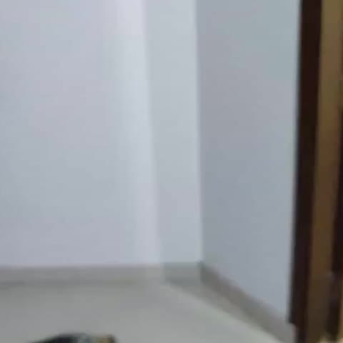 Hotel O Chahal Guest House Near Nangloi Railway Station Metro Station - Traveller Photo