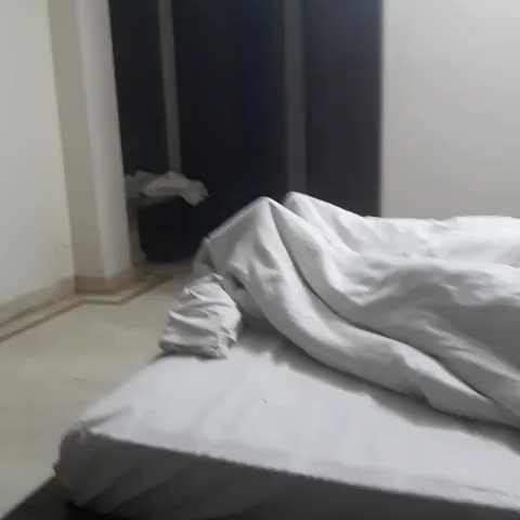 Hotel The Grace Near IGI Airport Delhi  - Traveller Photo