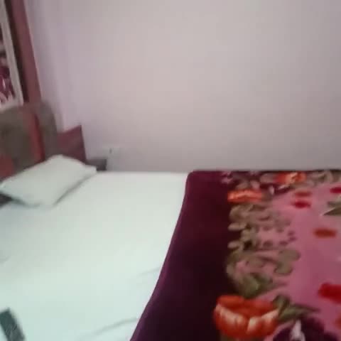 Hotel Ganga Palace - Traveller Photo