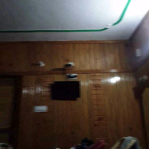 Dhanaulti Camps - Traveller Photo