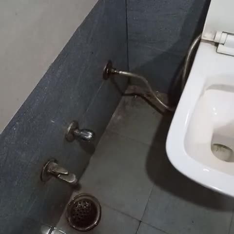 Hotel Shree Ram - Traveller Photo