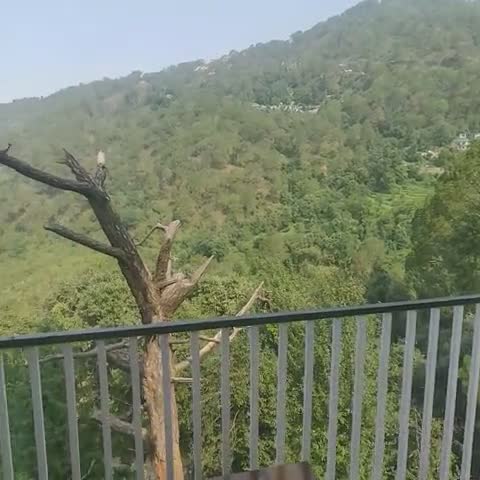 Agastya Residency - Traveller Photo