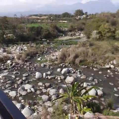 Hotel River Retreat - Near Dharamshala Airport - Traveller Photo