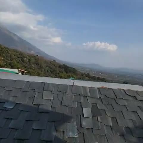 Regenta Resort Exotica Dharamshala on Hilltop - Traveller Photo
