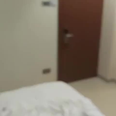 Hotel Jhankar Palace - Traveller Photo