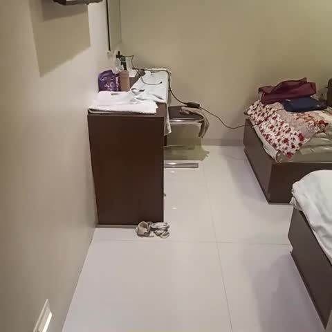 T M REGENCY - Traveller Photo