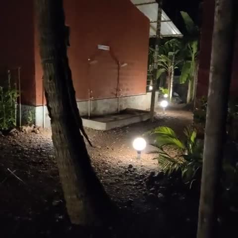 Beach Symphony Resort - Traveller Photo