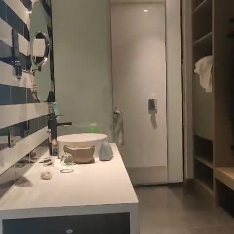 ibis Styles Dubai Airport Hotel - Traveller Photo