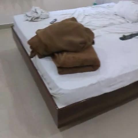 Hotel Alka Palace - Traveller Photo