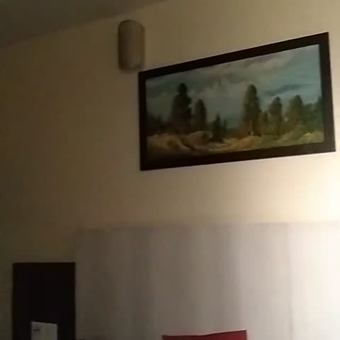 Hotel Tulis - Traveller Photo