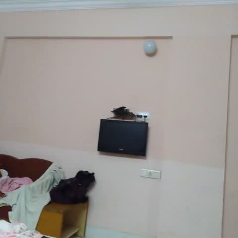 Hotel Shree Darshan - Traveller Photo