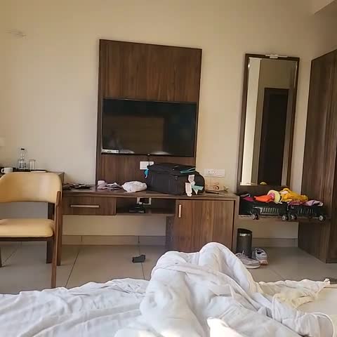HOTEL THE BARSANA - Traveller Photo