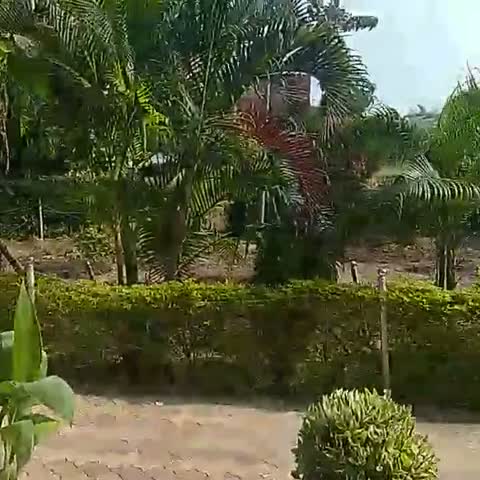 Hotel O Kavyanjali - Traveller Photo