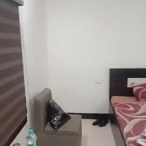President Guest House - Traveller Photo