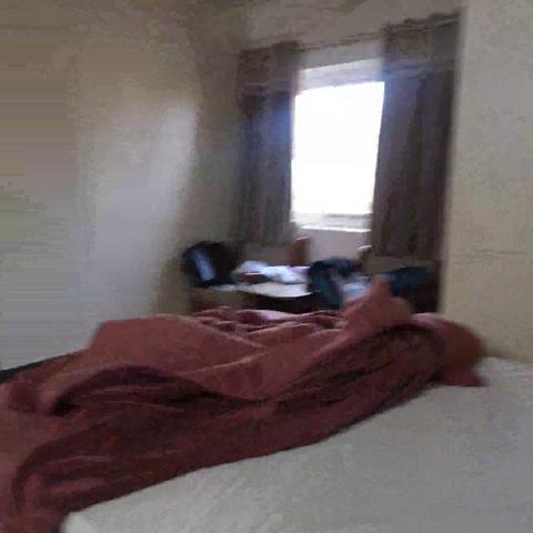 Hotel Shree Maruti - Traveller Photo