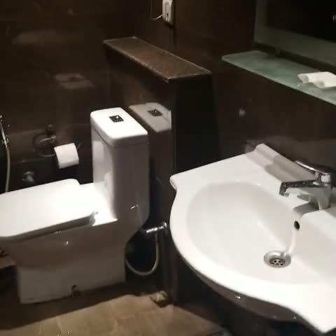 The Shiv Grand - Traveller Photo