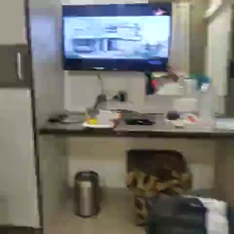 Hotel Vrundavan - Traveller Photo