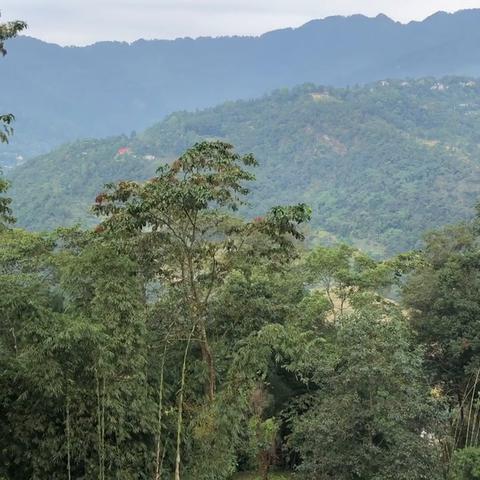 Five Gangtok - Traveller Photo