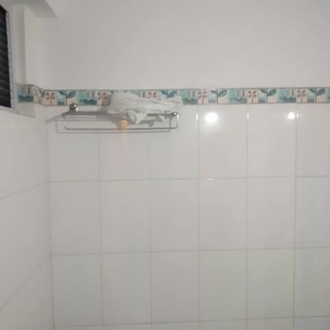 White Conch Residency (350 Meters from MG Marg) - Traveller Photo
