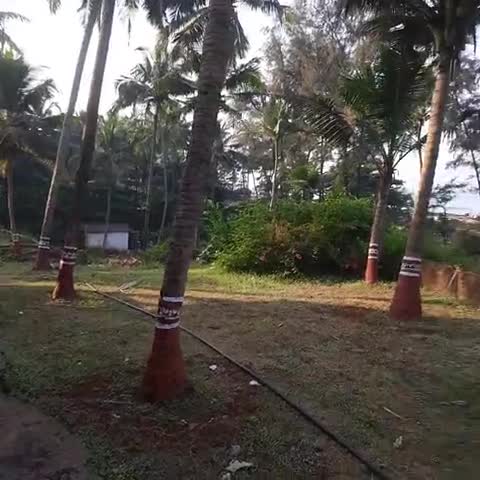 MTDC Ganpatipule - Traveller Photo
