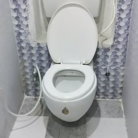 Hotel satyam international - Traveller Photo