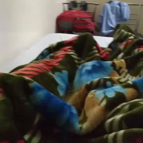 Hotel Shakun - Traveller Photo