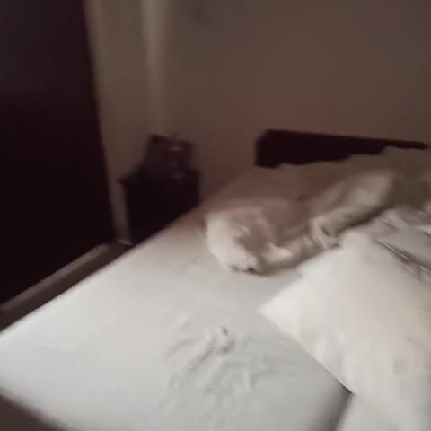 Super Hotel O Celebration Bnb Home - Traveller Photo