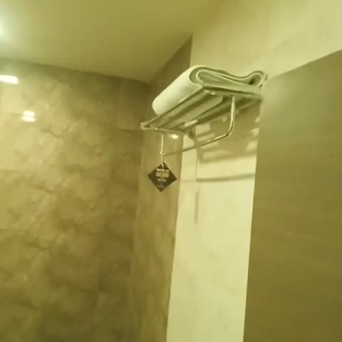 Swiss Hotel - Traveller Photo