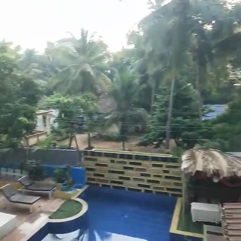 Candolim Sands - Traveller Photo