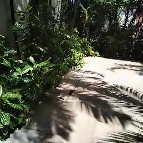 Casablanca Beach Resort - Traveller Photo