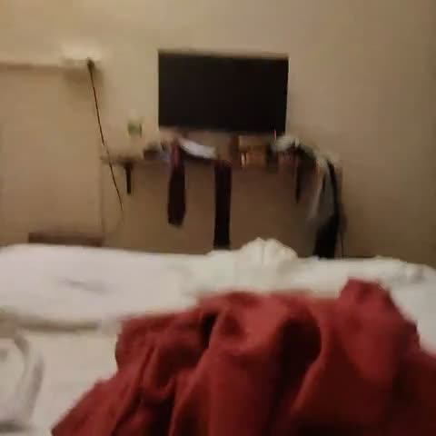 Easther Guest House - Traveller Photo